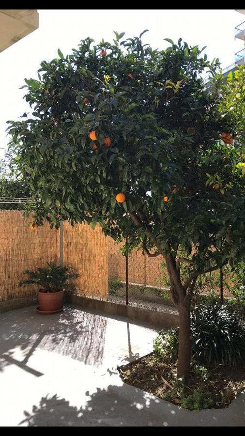Grande Bilocale Con Giardino E Posto Auto Privato Comodo Al Mare Varazze Exterior photo
